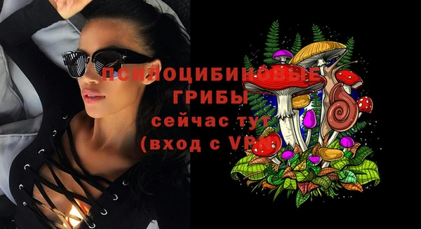 прущие крисы Алексеевка
