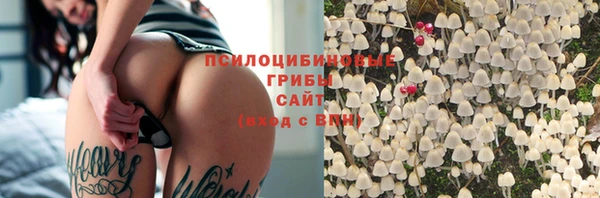 прущие крисы Алексеевка
